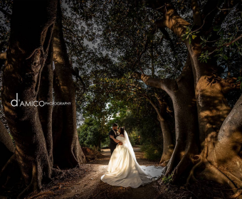 DAmico-Photography-1