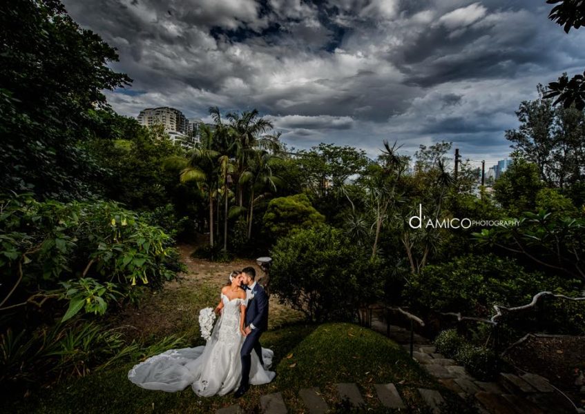D’Amico Photography