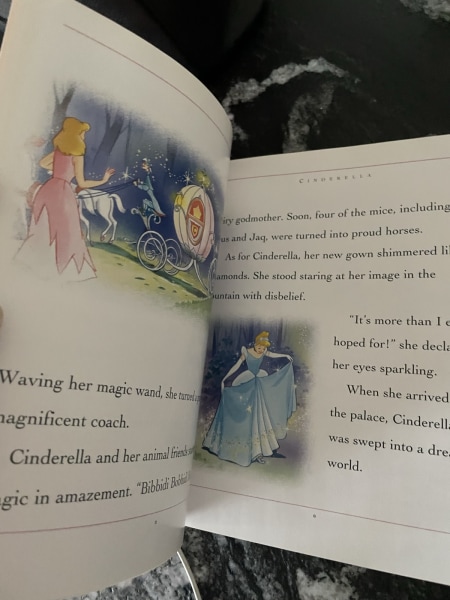 Disney Princess Books